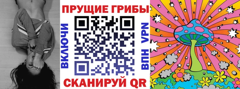 Псилоцибиновые грибы мицелий Нижнеудинск